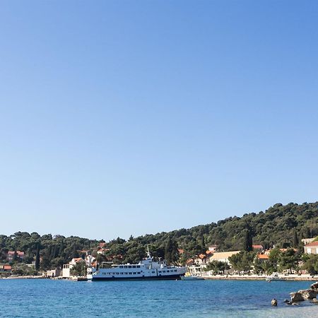 Apartments Marija - 50M From Beach Zaton  Εξωτερικό φωτογραφία