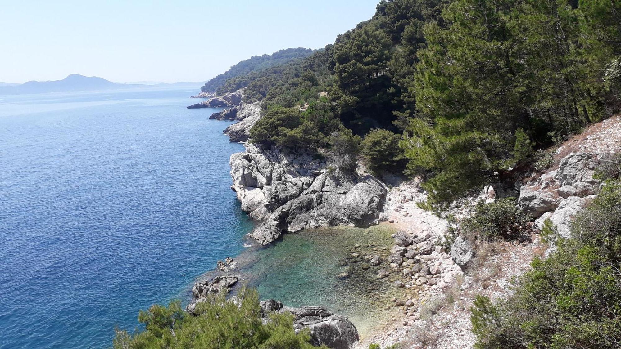 Apartments Marija - 50M From Beach Zaton  Εξωτερικό φωτογραφία