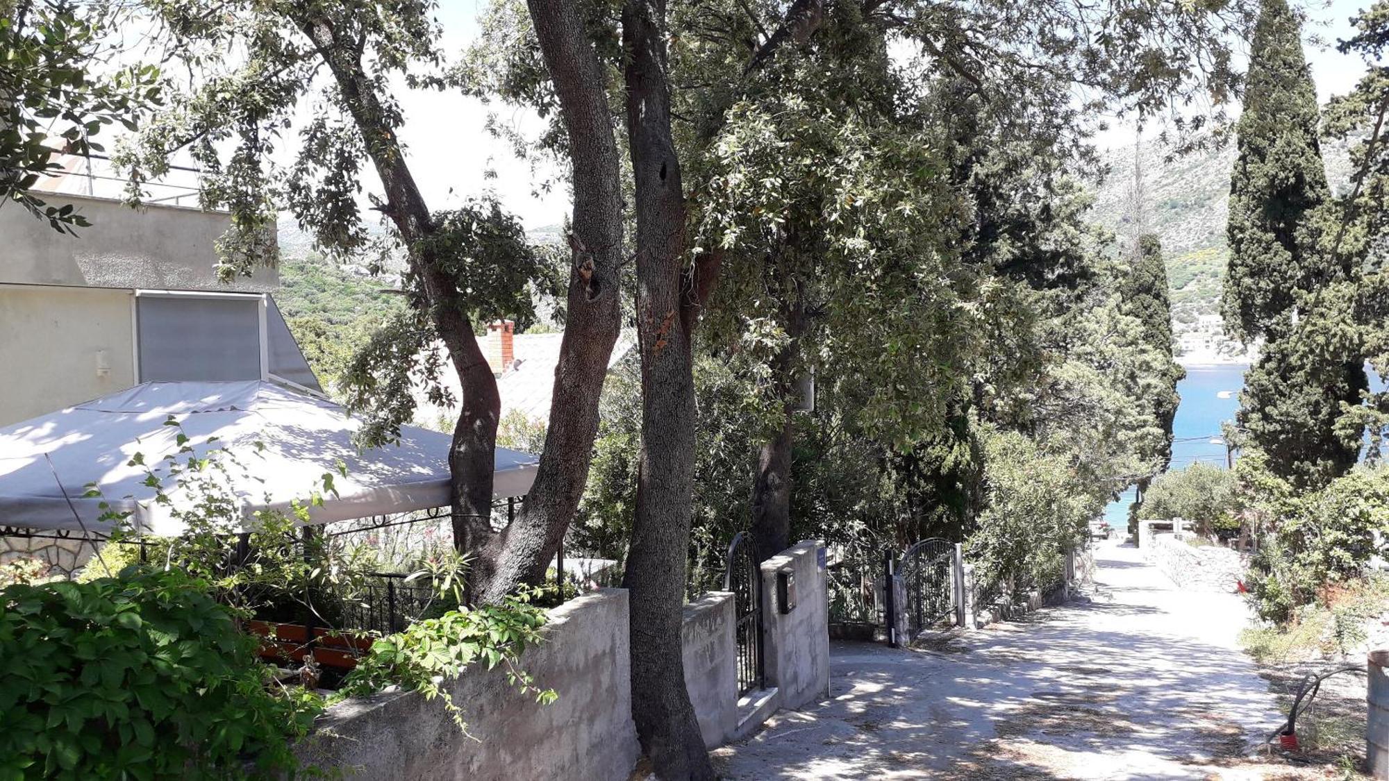 Apartments Marija - 50M From Beach Zaton  Εξωτερικό φωτογραφία