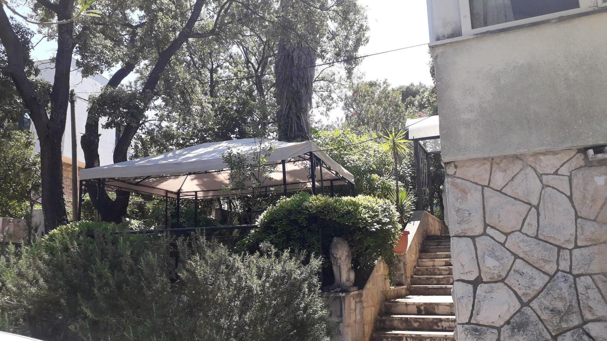Apartments Marija - 50M From Beach Zaton  Εξωτερικό φωτογραφία
